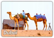 Magnesy - DUBAJ - Emiraty - Pustynia - Wielbłądy - Magnes na lodówkę - miniaturka - grafika 1