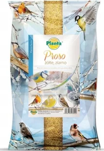 Zimowa karma dla ptaków Proso 1 kg - Karma dla ptaków - miniaturka - grafika 1