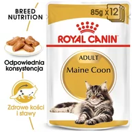 Mokra karma dla kotów - Royal Canin bytówka Maine Coon Adult saszetka 12x85g Sos) 16449-uniw - miniaturka - grafika 1