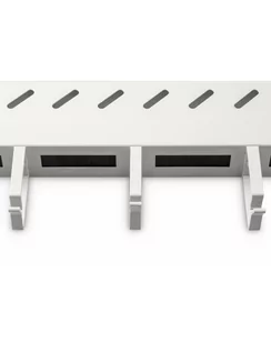 Digitus - Rack Shelf With Cable Management 1U (DN97684) - Pozostałe akcesoria sieciowe - miniaturka - grafika 1