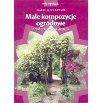 Małe kompozycje ogrodowe z roślin, kamienia, drewna - Dom i ogród - miniaturka - grafika 1