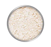 Pudry do twarzy - KRYOLAN Translucent Powder, transparentny puder do twarzy 11, 60 g - miniaturka - grafika 1