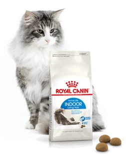 ROYAL CANIN  Indoor Long Hair 4kg karma sucha dla kotów dorosłych, długowłose, przebywających wyłącznie w domu + niespodzianka dla kota GRATIS! - Sucha karma dla kotów - miniaturka - grafika 5