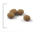 ROYAL CANIN  Sterilised 4kg karma sucha dla kotów dorosłych, sterylizowanych + niespodzianka dla kota GRATIS! - Sucha karma dla kotów - miniaturka - grafika 7