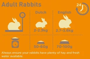 Burgess Burgess Indoor kanin nuggets 1,5 kg. - Karma dla gryzoni - miniaturka - grafika 1