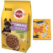 Sucha karma dla psów - PEDIGREE Junior karma dla psa duże rasy 15kg + GRATIS - miniaturka - grafika 1