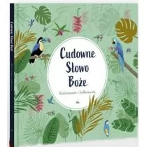 Wydawnictwo Diecezjalne Sandomierz Cudowne Słowo Boże praca zbiorowa - Religia i religioznawstwo - miniaturka - grafika 1