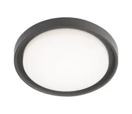 Lampy ogrodowe - Redo 9184 - Zewnętrzna lampa sufitowa LED BEZEL LED/30W/230V IP54 antracyt - miniaturka - grafika 1