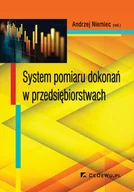 Zarządzanie - System pomiaru dokonań w przedsiębiorstwie - miniaturka - grafika 1