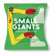 Small Giants Krakersy pieczone rozmaryn-tymianek z mąką ze świerszczy 40 g