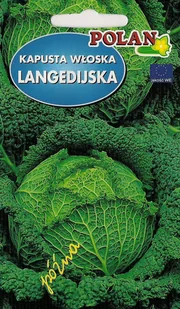 Kapusta włoska Langedijska 2 g POLAN - Nasiona i cebule - miniaturka - grafika 1