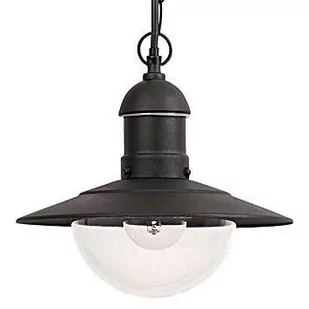 Rabalux Zewnętrzna LAMPA wisząca OSLO 8717 ogrodowa OPRAWA industrialny zwis outdoor IP44 czarny 8717 - Lampy sufitowe - miniaturka - grafika 6