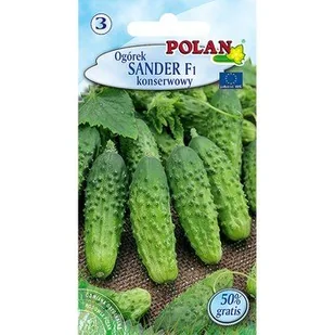 Ogórek Sander Polan - Nasiona i cebule - miniaturka - grafika 1