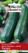 Nasiona i cebule - Plantico Cukinia Soraya - miniaturka - grafika 1