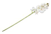 Sztuczne kwiaty - Kwiat Orchidea ORCHES biały / 97 / 70% tkanina/25% plastik/5% drut - miniaturka - grafika 1
