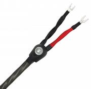 Kable - Kabel głośnikowy WireWorld SILVER ECLIPSE 8 (SES) Długość: 2,5 m - miniaturka - grafika 1