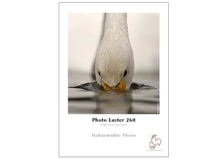 Hahnemuhle Papier Photo Luster 260 g/m2 A4 25 arkuszy 10641930) 10641930 - Papier do drukarek - miniaturka - grafika 1