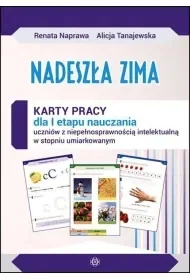 Nadeszła zima Karty pracy dla I etapu nauczania uczniów z niepełnosprawnością intelektualną w stopniu umiarkowanym - Materiały pomocnicze dla nauczycieli - miniaturka - grafika 1