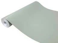 Meble modułowe i akcesoria - Okleina Meblowa Jednokolorowa Folia klejowa Dekoracyjna Samoprzylepna Stół Szafę Regał Drzwi Schody Fronty Meblowe Metr Bieżący 45x100 cm Blady Ziel.. - miniaturka - grafika 1