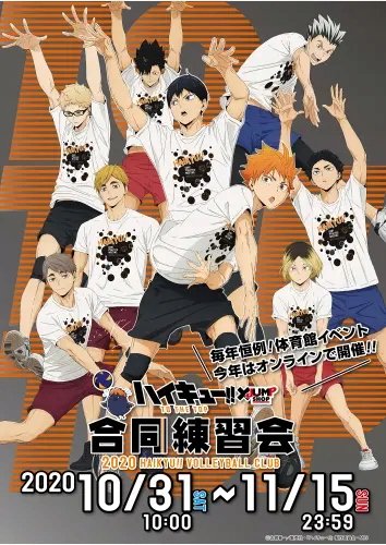 Plakat Anime Manga Haikyuu hy_008 A1+ (custom)