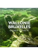Felietony i reportaże - Wallonie bruxelles - miniaturka - grafika 1