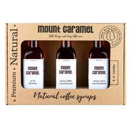 Syropy i koncentraty owocowe - MOUNT CARAMEL ZESTAW 3x100ml dyniowy, jabłko z cynamonem, ciasto marchewkowe - miniaturka - grafika 1