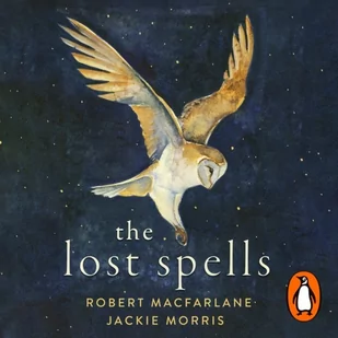 Lost Spells - Audiobooki obcojęzyczne - miniaturka - grafika 1