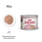 Mokra karma dla kotów - ROYAL CANIN Mother & Babycat Mousse 12 x 195 g - miniaturka - grafika 1
