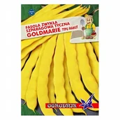 Nasiona i cebule - Fasola żółta tyczna Goldmarie 10g / O / - miniaturka - grafika 1