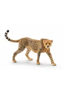 Albumy krajoznawcze - Samica geparda - miniaturka - grafika 1