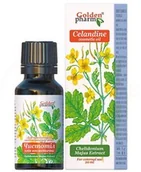 Suplementy naturalne - Glistnik Jaskółcze Ziele Olejek Kosmetyczny, Golden Pharm, 20ml - miniaturka - grafika 1
