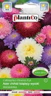 Nasiona i cebule - Plantico Aster chiński książęcy mix - miniaturka - grafika 1