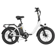 DYU C9 Folding Electric Bike 250W Motor 48V 15 6Ah Battery 20*3 0 inch Tires 25km/h Max Speed 150km Range Oil Brake Fron