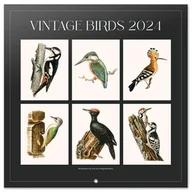 Kalendarze - Vintage Birds - kalendarz 2024 - miniaturka - grafika 1