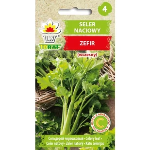 Seler naciowy Zefir nasiona warzyw 0,5g TORAF - Nasiona i cebule - miniaturka - grafika 1