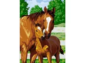 Malowanie po numerach - Obraz Malowanie Po Numerach Rama 40X50Cm Uroczy Źrebak - miniaturka - grafika 1