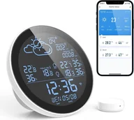 Stacje pogodowe - Czujnik BOT dla stacji pogodowej SWS1 - miniaturka - grafika 1