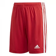 Spodnie i spodenki dla chłopców - adidas adidas Chłopięce Squad 21 Sho Y krótkie spodnie Team Power czerwony/biały 16 Years GN5761 - miniaturka - grafika 1