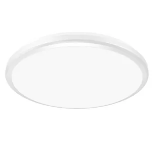 Sufitowa lampa do ogrodu Planar 4208 Ideus LED 24W 4200K oprawa hermetyczna IP54 biała - Lampy sufitowe - miniaturka - grafika 1