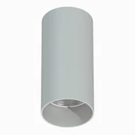 Lampy sufitowe - Lampa sufitowa spot Mono 10785 Nowodvorski rurka minimalistyczna szara - miniaturka - grafika 1