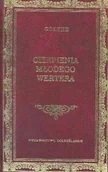 Dramaty - Cierpienia młodego Wertera - miniaturka - grafika 1