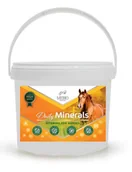 Akcesoria jeździeckie - St Hippolyt Witaminy i minerały Daily Minerals 10kg - miniaturka - grafika 1