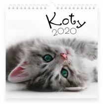 Interdruk Kalendarz 2020 planszowy 32x32 Koty - Kalendarze - miniaturka - grafika 1