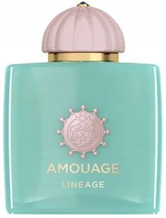 Amouage Odyssey Lineage woda perfumowana 100 ml - Wody i perfumy męskie - miniaturka - grafika 1