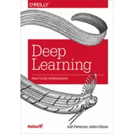 Książki o programowaniu - Deep Learning Praktyczne wprowadzenie - miniaturka - grafika 1