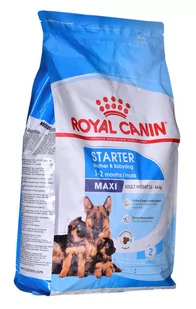 Royal Canin SHN Maxi Starter M - Odblaski i adresówki - miniaturka - grafika 1