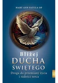 Religia i religioznawstwo - Bliżej Ducha Świętego . Droga do przemiany życia i - miniaturka - grafika 1