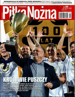 Piłka nożna - Powieści i opowiadania - miniaturka - grafika 35