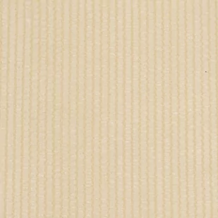 vidaXL Roleta zewnętrzna, kremowa, 60x140 cm, HDPE - Rolety - miniaturka - grafika 1
