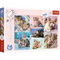 Trefl Puzzle 100 elementów W kocim świecie GXP-781368 - Puzzle - miniaturka - grafika 1